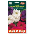 Semillas de Petunia compacta enana variada 500 mg de Eurogarden