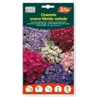 Semillas de Cineraria enana híbrida variada 50 mg Eurogarden