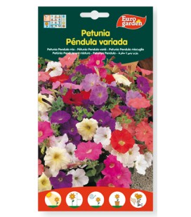 Semillas de Petunia Péndula variada 500 mg de Eurogarden