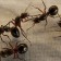 Las hormigas: Su control